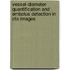 Vessel-diameter Quantification And Embolus Detection In Cta Images