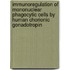 Immunoregulation of mononuclear phagocytic cells by human chorionic gonadotropin