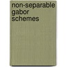 Non-separable Gabor schemes by A.J. van Leest
