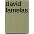 David Lamelas