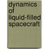 Dynamics of liquid-filled spacecraft