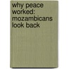 Why peace worked: Mozambicans look back by L. van den Bergh