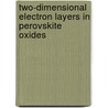 Two-dimensional electron layers in perovskite oxides by G.W.J. Hassink