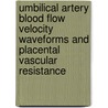 Umbilical artery blood flow velocity waveforms and placental vascular resistance by J.C.M. van Huisseling