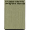 Newcastle-under-lyme in old picture postcards door P.J. Bemrose