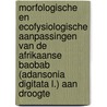 Morfologische en ecofysiologische aanpassingen van de Afrikaanse baobab (Adansonia digitata L.) aan droogte door Sebastiaan De Smedt