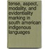 Tense, aspect, modality, and evidentiality marking in South American indigenous languages