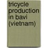Tricycle production in BaVi (Vietnam)