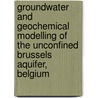 Groundwater and geochemical modelling of the unconfined Brussels aquifer, Belgium door Luk Peeters
