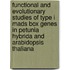 Functional And Evolutionary Studies Of Type I Mads Box Genes In Petunia Hybrida And Arabidopsis Thaliana