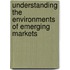 Understanding the environments of emerging markets