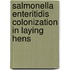 Salmonella Enteritidis colonization in laying hens
