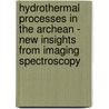 Hydrothermal Processes in the Archean - New Insights from Imaging Spectroscopy door F.J.A. van Ruitenbeek
