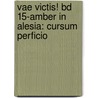 Vae Victis! Bd 15-amber In Alesia: Cursum Perficio door Rocca