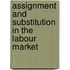 Assignment and substitution in the labour market