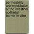 Permeability and modulation of the intestinal epithelial barrier in vitro