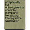 Prospects for flux enhancement in anaerobic membrane bioreactors treating saline wastewater door Jixiang Yang