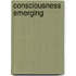 Consciousness emerging