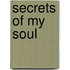 Secrets of my soul