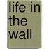 Life in the Wall