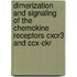 Dimerization And Signaling Of The Chemokine Receptors Cxcr3 And Ccx-ckr