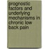 Prognostic factors and underlying mechanisms in chronic low back pain