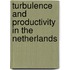 Turbulence and productivity in the Netherlands
