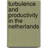 Turbulence and productivity in the Netherlands door N. Bosma