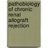 Pathobiology of chronic renal allograft rejection