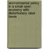 Environmental policy in a small open economy with distortionary labor taxes