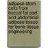 Adipose Stem Cells from Buccal Fat Pad and Abdominal Adipose Tissue for Bone Tissue Engineering