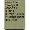 Clinical and Virological aspects of Human Parvovirus B19 infection during gestation by T.R. De Haan