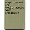 Coupled seismic and electromagnetic wave propagation door Menne Schakel