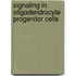 Signaling in oligodendrocyte progenitor cells