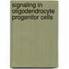 Signaling in oligodendrocyte progenitor cells door W. Baron