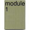 Module 1 door W.F.J. Geers