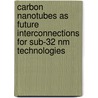Carbon Nanotubes as future interconnections for sub-32 nm technologies door Nicolo Chiodarelli