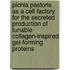 Pichia pastoris as a cell factory for the secreted production of tunable collagen-inspired gel-forming proteins