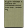 Magnetic minerals in Pliocene and Pleistocene marine marls from Southern Italy door A.J. van Velzen