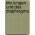 Die Lungen und das Diaphragma
