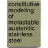Constitutive modeling of metastable austenitic stainless steel