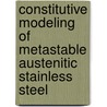 Constitutive modeling of metastable austenitic stainless steel door E.S. Perdahcioglu