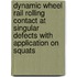 Dynamic wheel rail rolling contact at singular defects with application on squats