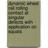 Dynamic wheel rail rolling contact at singular defects with application on squats by Xin Zhao