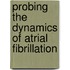 Probing the dynamics of atrial fibrillation