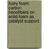 Hairy foam: carbon nanofibers on solid foam as catalyst support