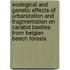 Ecological and genetic effects of urbanization and fragmentation on carabid beetles from Belgian beech forests