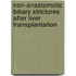 Non-anastomotic Biliary Strictures after Liver Transplantation