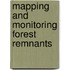 Mapping and monitoring forest remnants