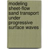 Modeling sheet-flow sand transport under progressive surface waves by W.M. Kranenburg